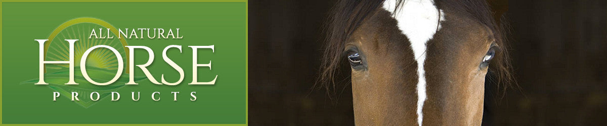 Horse Products
