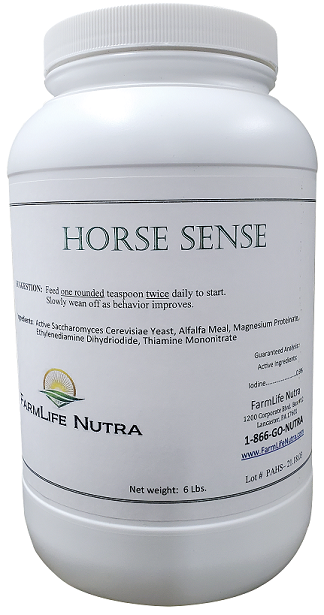 Horse Sense