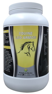 EQUINE LEG ARMOR