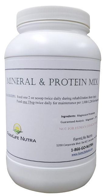 Mineral & Protein Mix